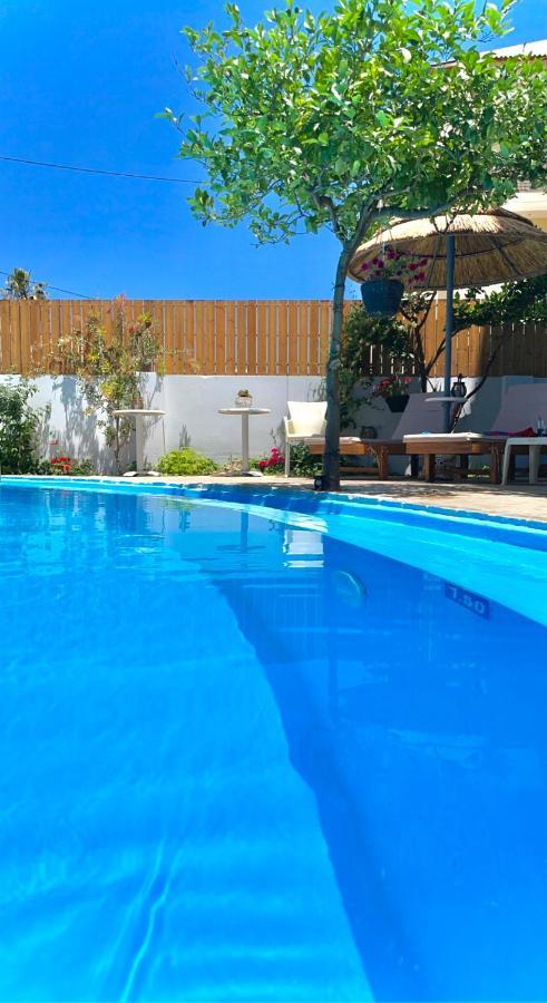 Rodi Blue Apartments Amoudara Lasithiou 외부 사진
